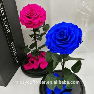 China Wholesale Natural Preserved Home Decoration Roses Flowers in Glass Dome Roses Forever Glass Dome 32cmx17cm for sale