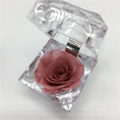 China Natrul Fresh Roses Wholesale Natural Preserved Roses In Ring Box Glass Gift Box On Sale for sale