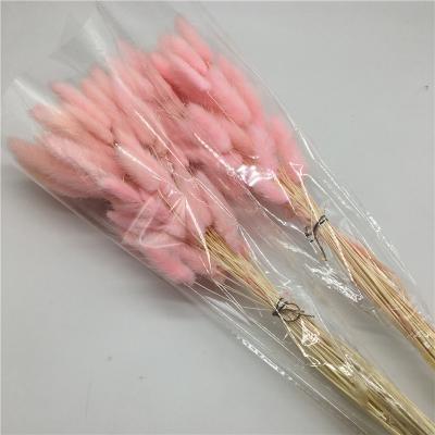 China Tail Home Dry Grass Bunny Flower Decoration Artificial Grass With Flower On Sale From Yunnan for sale