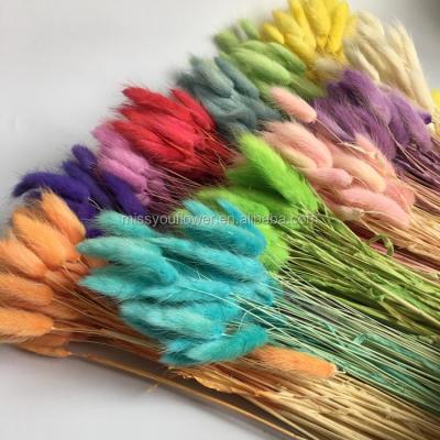 China Wholesale Kunming Multicolor Home Decoration Rabbit Tail Preserved Grass for sale