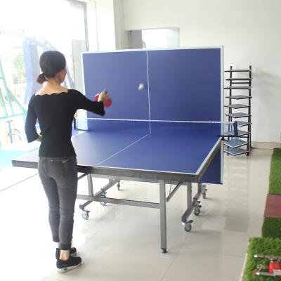 China MDF+Steel factory OEM tennis products mini table tennis tables for sale for sale