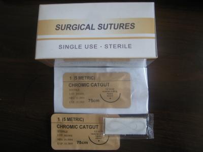 Chine Suture absorbable de boyau, suture d'intestin, boyau de suture, sutures à vendre