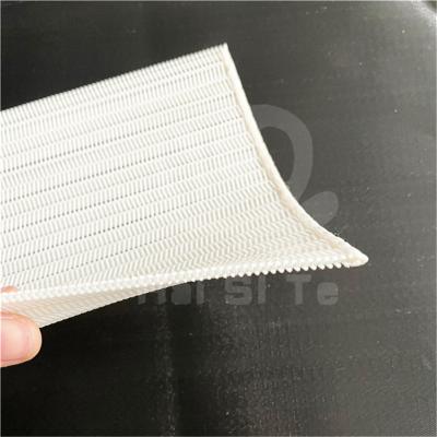 China Paper mill industry dryer mesh belt flat wire dryer mesh polyester mesh screen spiral belt for sale