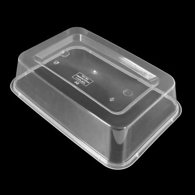 China 500ml Rectangular Plastic Microwavable Container Microwave Freezer Food Container Leakproof Disposable Food Delivery Box for sale