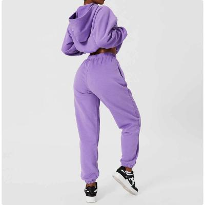 China Custom Logo Cotton+Polyester Long Sleeve Sport Gym Fleece Sweatsuit Pullover Crop Top Knitted Oversized Sweatshirts Women's Hoodies Set for sale