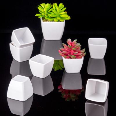 China Small Modern Melamine Flowerpot Plant Pot Plastic Succulent Flower Pots for sale