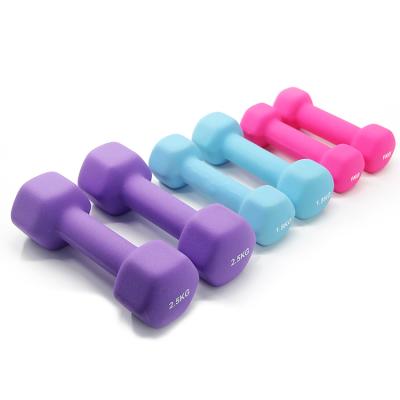 China Adjustable Dumbbell Bar Home Fitness Neoprene Dumbbell For Women for sale