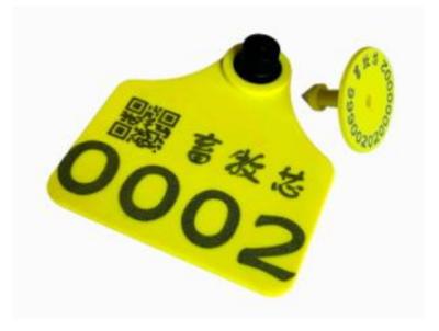 Cina UHF RFID Cattle Tag With Encoding And Printing TPU Material , RFID UHF cow  Ear Tag HAT06E in vendita