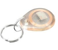 China 125KHz LF EM4305 T5577 13.56MHz HF F08 RFID Tag Rewritable Keyfob With Keychain for sale