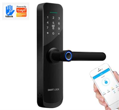 China (Fingerprint+ password+RFID card) â ‰ ¤ 300 Smart Card Password Biometric Fingerprint Door Locks for sale