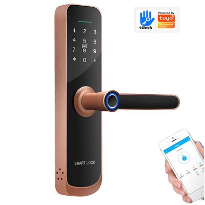 China (Fingerprint+ password+RFID card) â ‰ ¤ 300 BLE Digital APP High Quality Home Fingerprint TTlock Card OEM ODM Security Electronic Smart Door Lock for sale