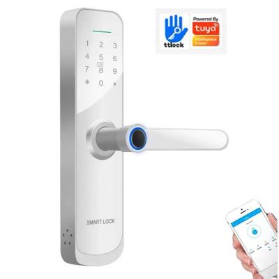 China (Fingerprint+ password+RFID card) â ‰ ¤ Smart Tuya Wifi High Quality Biological Aluminum Metal Fingerprint 300 Glass Door Sliding Electronic Door Lock for sale