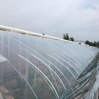 China Anti-Drip Greenhouse Agricultural Hydroponics NFT Growing Soilless Cultivation System For Tomato Strawberry Cucumber for sale