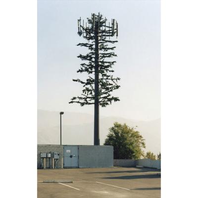 China 40m Camouflaged Telecom Pine Outdoor Single Pole Tower for sale