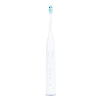 China Wholesale Automatic Brush Child Electric Toothbrush Professional Portable Portable Sonic Electric Toothbrush Manufacturer for sale