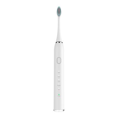 China Household 18 Years Oral Care Factory USB Rechargeable Powered Vibrate Automatic Sonic Electric Toothbrush for sale