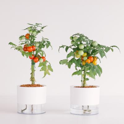 China Minimalist Smart Plastic White Flower Pot Self Watering Plant Pot Indoor&Outdoor Planter Pot for sale