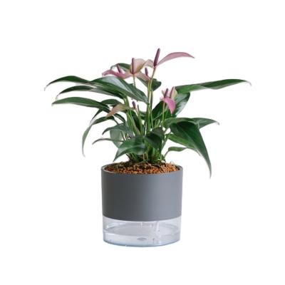 China Minimalist Amazon hot sale planter pot good quality flower pot self watering plant gray plastic pot for sale