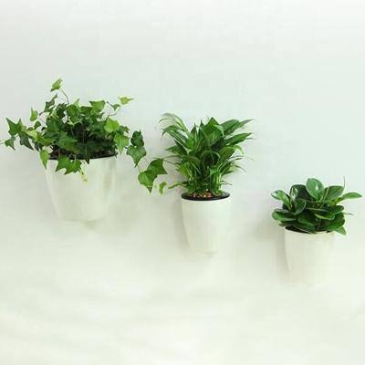 China Modern Wholesale Green Creative Radish Decoration Lazy Hanging Plastic Flower Pot for sale