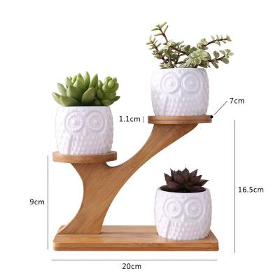 China New Water Absorption Round Resin Plant Modern Hydroponic Automatic Succulent Potting Ceramic Flower Pot for sale