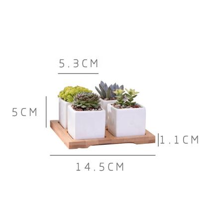 China Modern Simple White Creative Succulent Plants 4 Piece Square Set Ceramic Indoor Flower Pot With Bamboo Bracket for sale