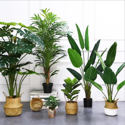 China Natural Hot Potted Plastic Green Artificial Plants Banana Plants Touch Sale Touch Trees For Indoor Wedding Decoration for sale