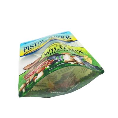 China Recyclable Moisture Proof Holder Up Spice Zip Lock Packaging Custom Printed Plastic Bag Seasoning for sale