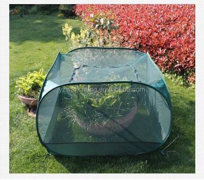 China Easily Assembled Mesh Plant Covers Mini Green House Garden Greenhouse for sale