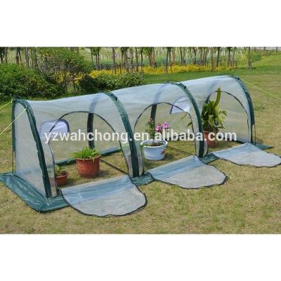 China Easily Assembled Outdoor PE Mini Growing House Plant Grow Tent Garden Greenhouse For Flower for sale