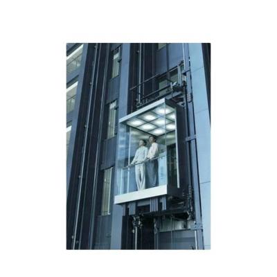 中国 Factory Newest Stainless Steel Glass Lift Panoramic Glass Elevator With Great Price 販売のため