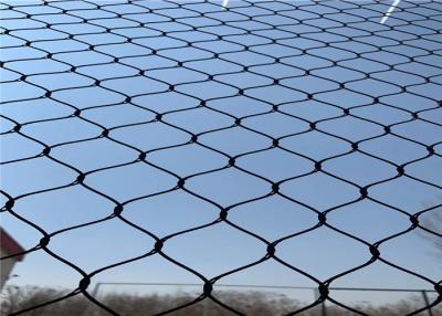 China Strong Stainless Steel Cable Wire Rope Mesh Aviary Wire Netting For Zoo Mesh zu verkaufen