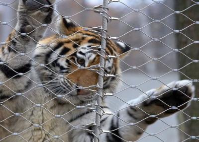 Cina Scimmia Tiger Zoo maglia di recinzione dell'animale di 1.2mm 7 x 7 in vendita