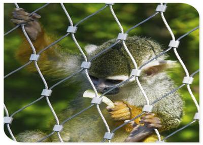 China Hand Woven Stainless Steel Cable Netting Wire Mesh Monkey Enclosure SGS Certified for sale