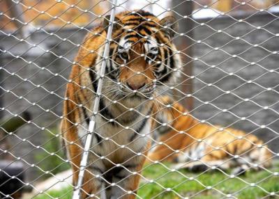 Cina Reticolato flessibile del cavo di acciaio inossidabile di recinzione 316 animali ad alta resistenza di forza in vendita