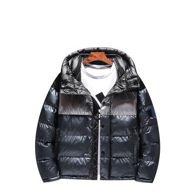 China Factory Wholesale Men's Hooded Stripper Jacket Men's Sleeve Jacket Anti-wrinkle Hooded Winter for sale