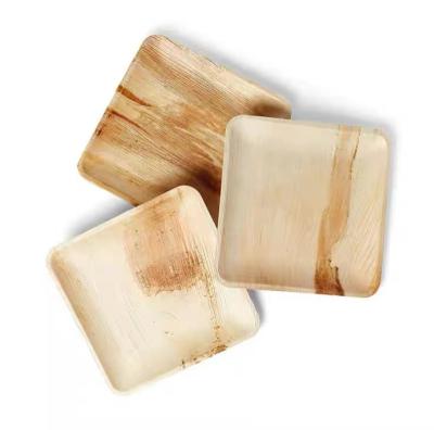 China Hotel Home Restaurant Biodegradable Disposable Wooden Bamboo Dishes 10 Inch Palm Leaf Dishes for sale