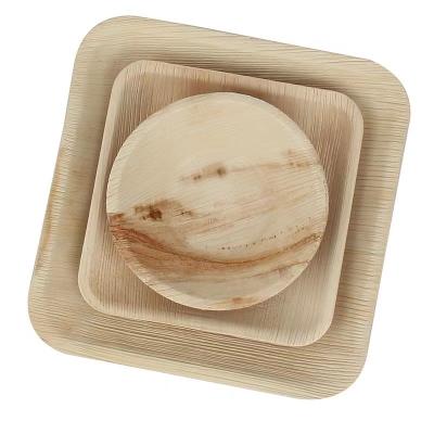 China Hotel Home Restaurant Disposable Bamboo Dishes 10 Inch Palm Leaf Dishes Biodegradable For Party for sale