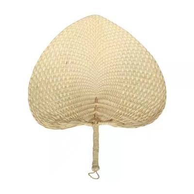 China For Wedding Fresh Decoration Summer Craft Natural Color Palm Fans for sale