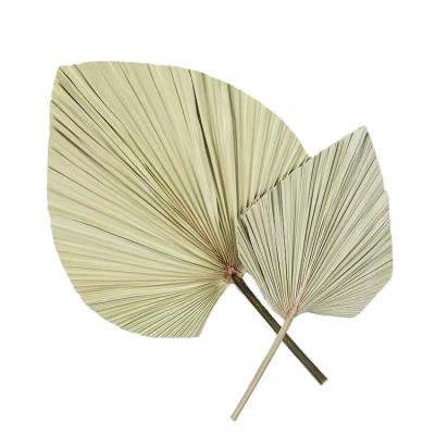 China Good Quality Eco - Friendly Hand Palm Leaf Fans Wedding Decoration for sale