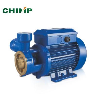 China High Efficiency 100% Brass Peripheral Copper Wire Impeller 0.5hp Water Pump for sale