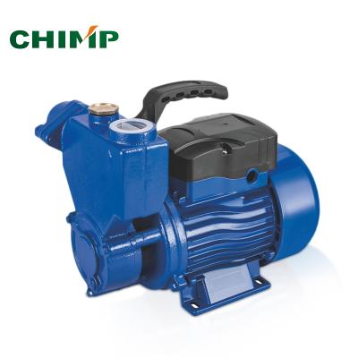 China High efficiency QTS 05hp garden portable irrigation water pump household self-priming peripheral water pump for sale