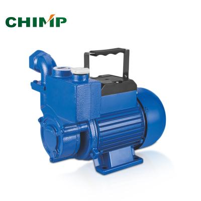 China High Efficiency Small Peripheral Irrigation 0.5hp 0.75kw Clean Water Self Priming Pump for sale