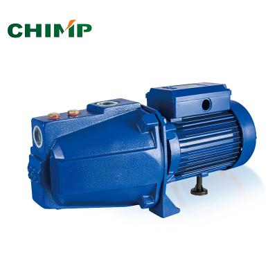 China High Efficiency High Pressure Surface Garden Irrigation 1.5 Hp Jet Cleaning Water Pump for sale