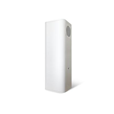 China 200L 250L Domestic Heat Pump Water Heater with R290 Quiet and Efficient Design for sale