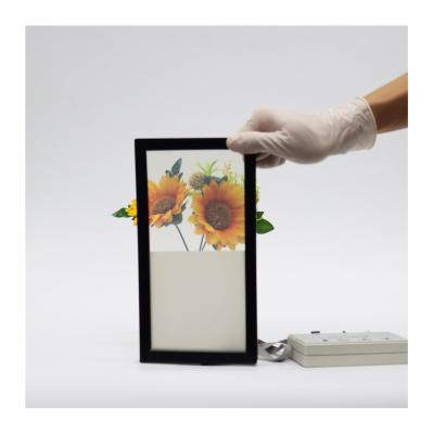 China Modern 125*240mm Patterned Electronic Smart Switchable PDLC Film Electric Shade Glass Sample Assembly for sale