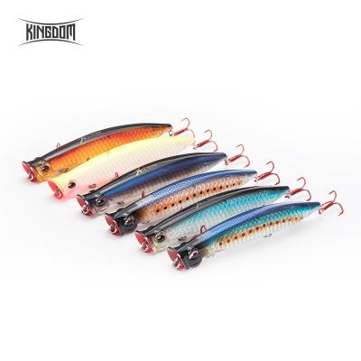 China Snap Bait Kingdom OEM 3508 Lures Wholesale Fishing Minnow 90 110 123mm Float Snap Lure Hard Beach Walker Pesca Bass Fishing Bait for sale