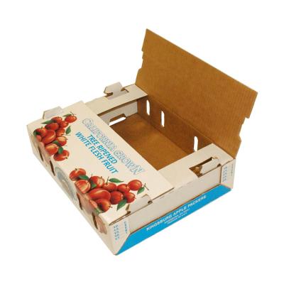 China Recyclable Custom Design Cardboard Boxes For Sale Cool Export Banana Peach Cherry Fruit Gift Transport Packaging Shipping Box for sale