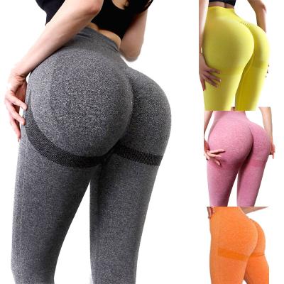 China Breathable High Waist Women Sports Seamless Workout Wear Fitness Tummy Control Gym Leggings For Women for sale