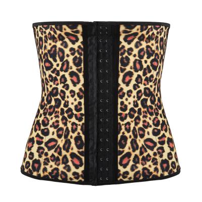 China Antibacterial Rubber Steel Shaper Body Shaper Corset Court Rib Print Leopard Upper Belly Band Belt for sale