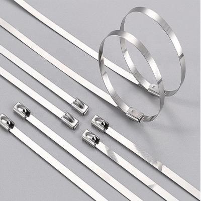 China Cable Tie.etc 201/304/316 Self-Locking Ball Lock 100mm Stainless Steel Zip Tie for sale